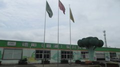 蔬菜種植培育基地