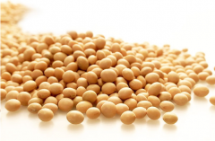 食用植物油的分類及作用