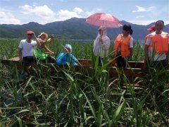 公司瀘沽湖之旅十七